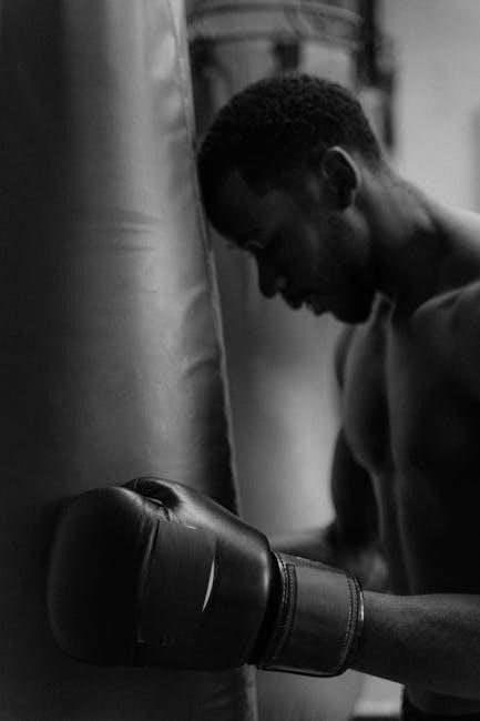 boxing combinations pdf
