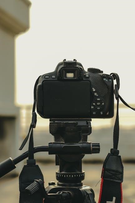 canon sx60 hs manual